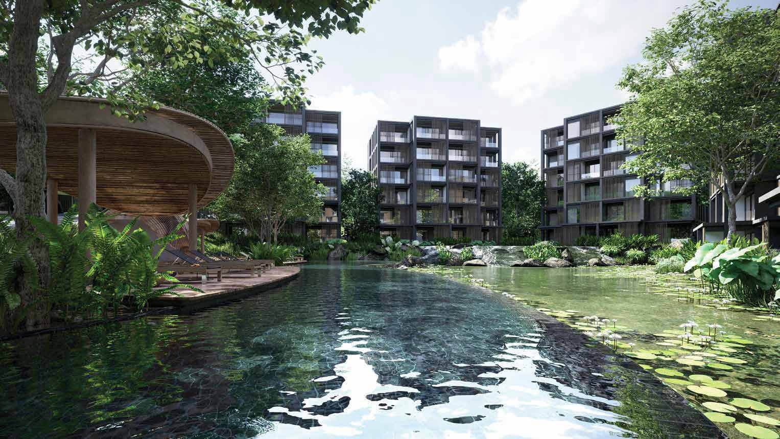 Компьютерная визуализация озера в MGallery Residences MontAzure Lakeside, Kamala, Пхукет: кувшинки, изогнутый деревянный павильон с шезлонгами и три шестиэтажных корпуса позади