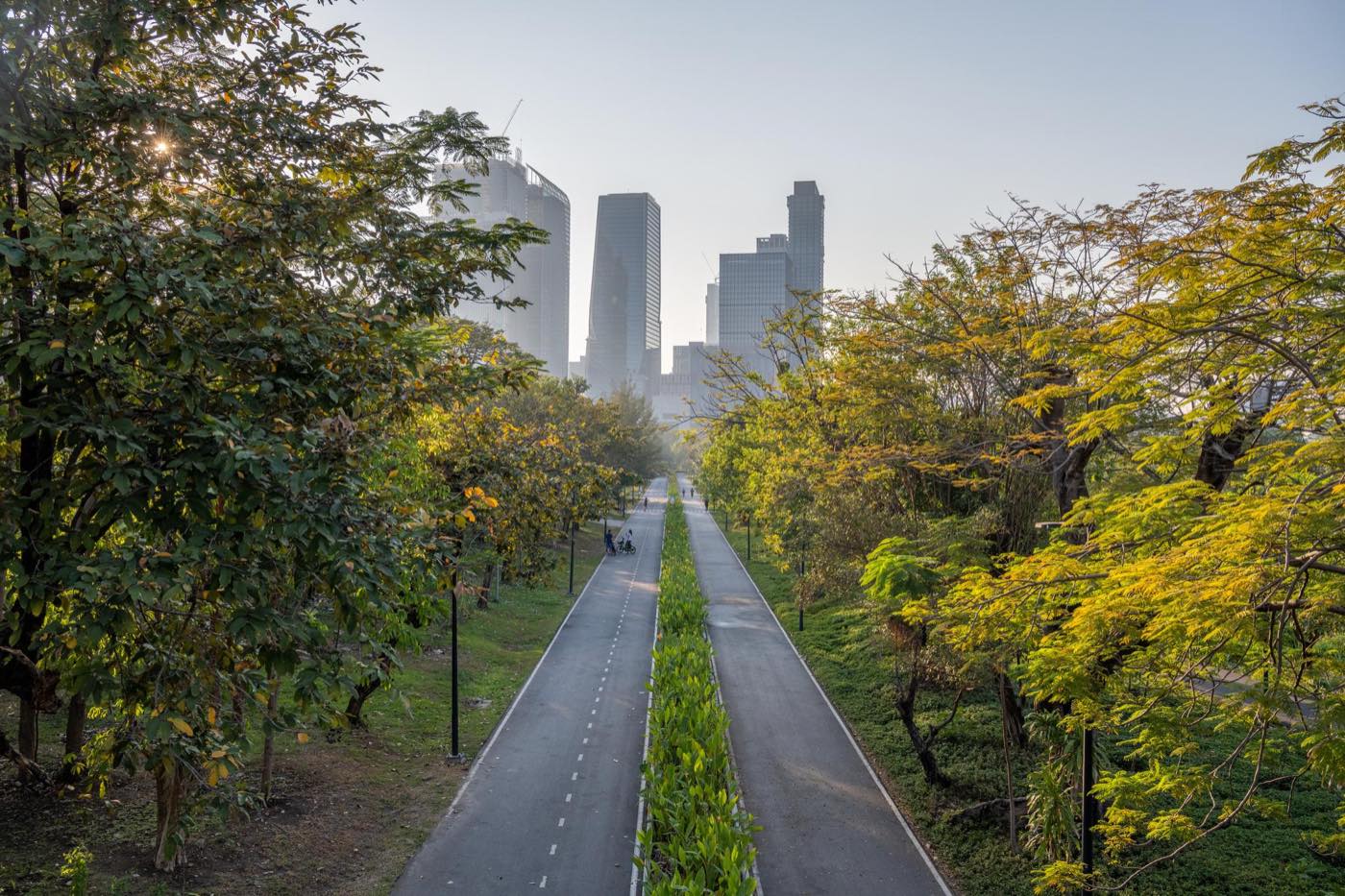 曼谷 Lumphini Park 內林蔭夾道的跑步及單車徑,Wireless Road 與 Ratchadamri 的天際線在晨霧中升起