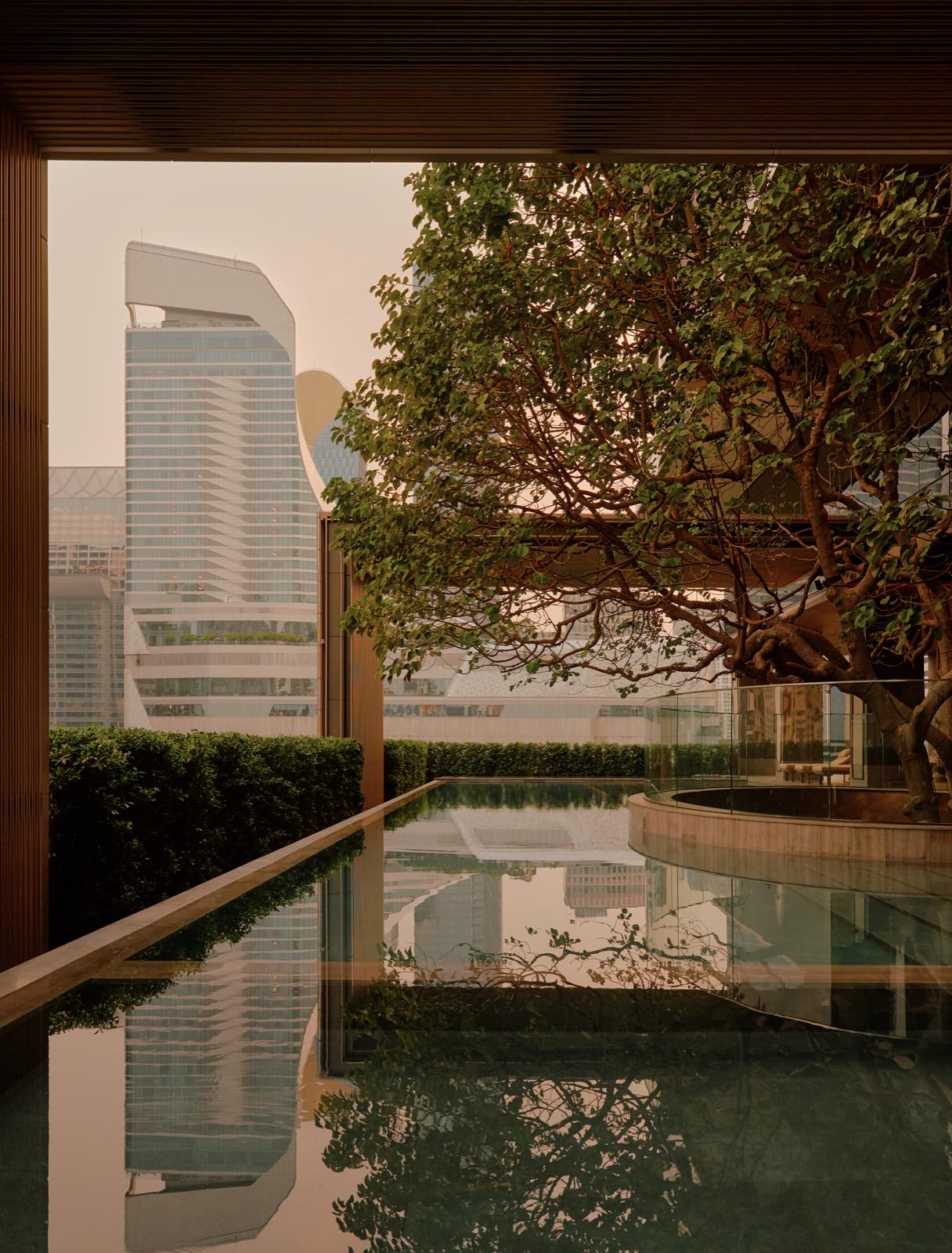 Aman Nai Lert Residences: Swimming pool framed by greenery with the Bangkok skyline beyond at Aman Nai Lert Bangkok