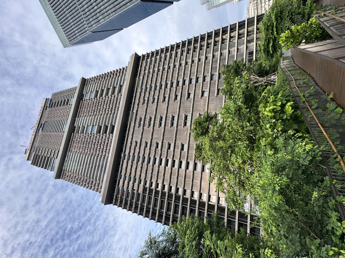 从曼谷 Rama IV 的公园一侧望向 Dusit Central Park 住宅大楼,9至28楼为下层系列 Dusit Parkside