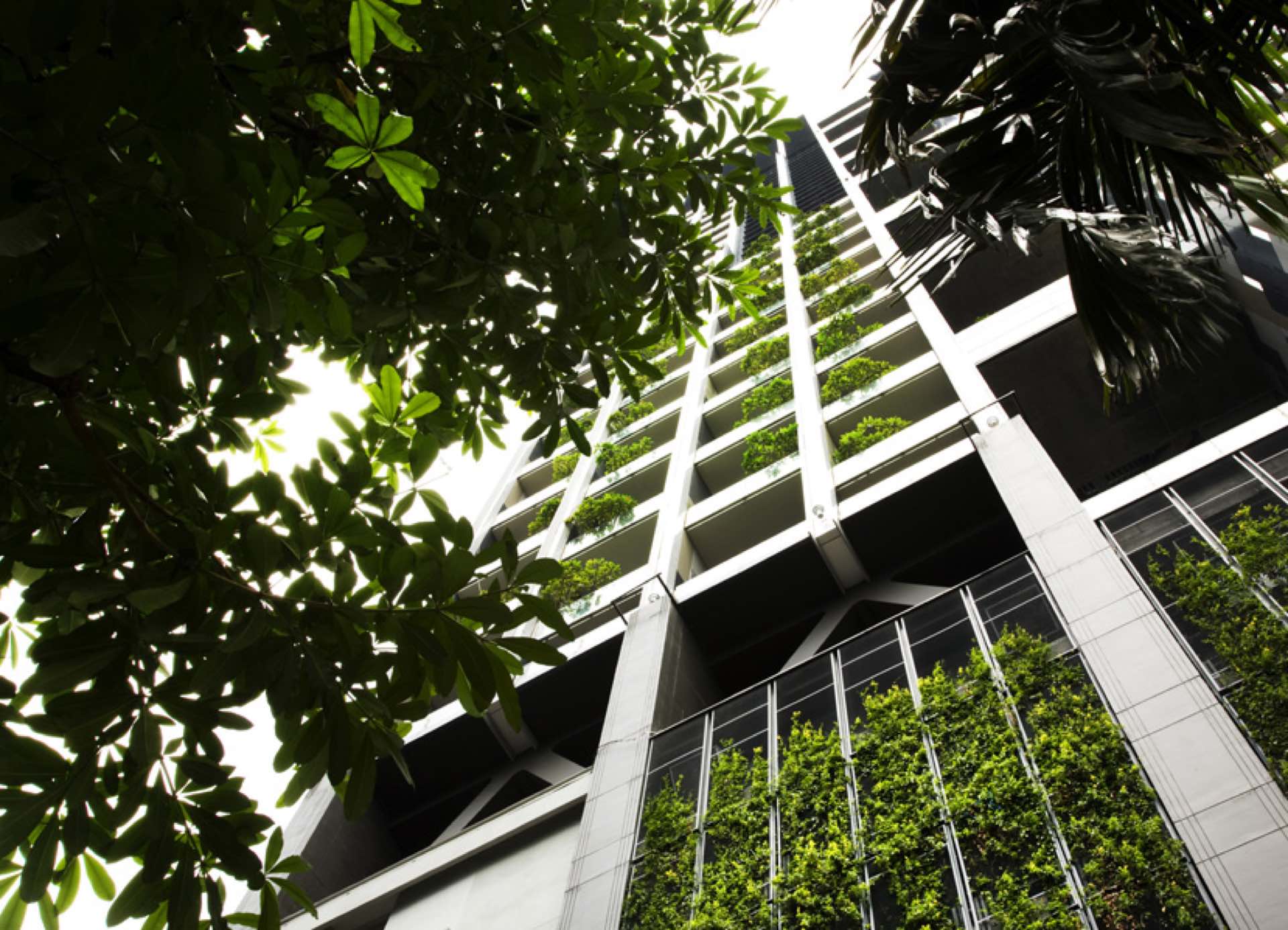 The Met Sathorn: Upward view of The Met facade with cascading planted sky-gardens framed by foliage