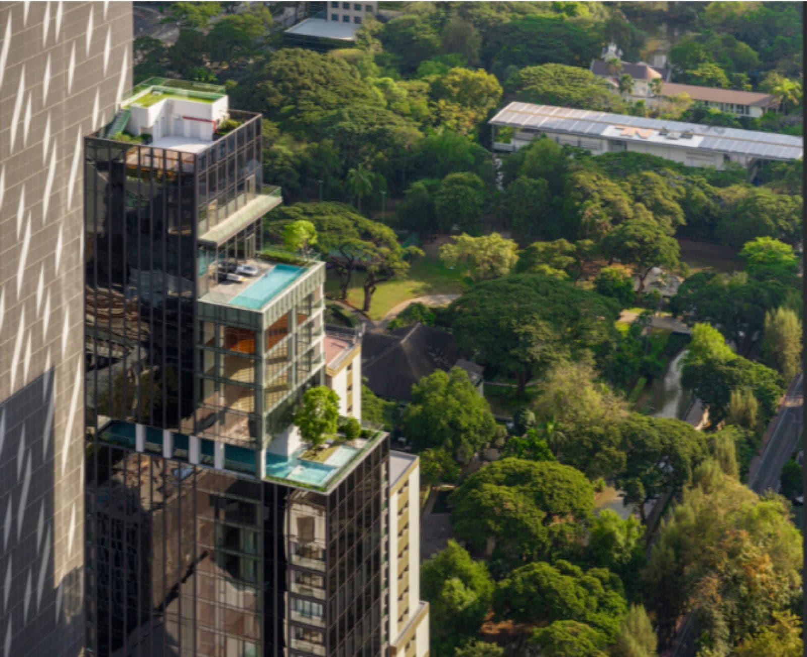 Tonson One Residence 的空中泳池鳥瞰,望向曼谷 Lumphini Park